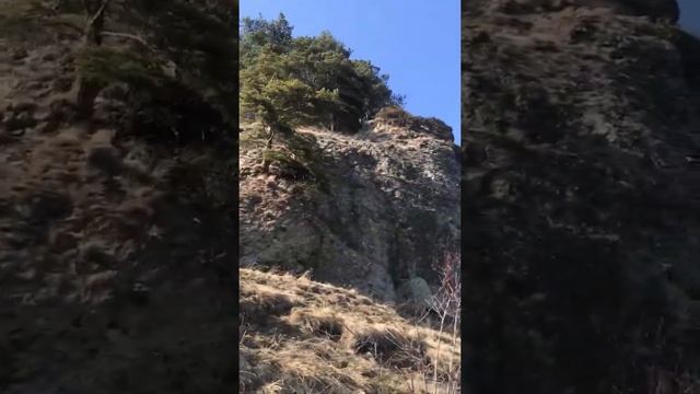 Поездка в горы в Теберде смотреть онлайн