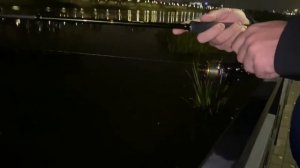 РЫБАЛКА НА СПИННИНГ НОЧЬЮ | КТО НЕ СПИТ В РЕКЕ