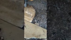 Замена переднего салейнблока газель