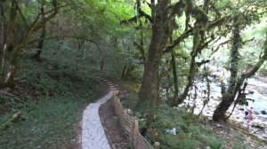 Форелевое хозяйство в Абхазии