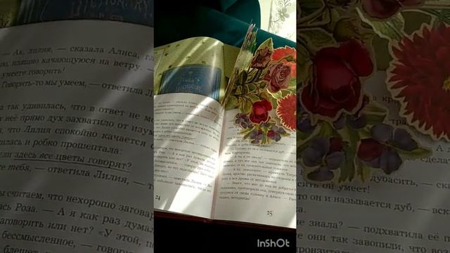 Алиса в зазеркалье