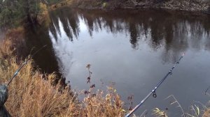 Рыбалка на таёжной реке. Ловля хариуса по большой воде. День 1. Рыбалка на спиннинг. Дикие места