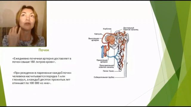 Елена Бахтина Запись вебинара Генеральная уборка или что делать со свалкой в св смотреть онлайн