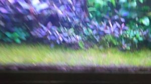 Как охладить воду в аквариуме.