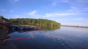 ЗАПУСК АФРИКАНСКОГО СОМА!ПОИМКИ ОСЕТРА НОЧЬЮ! РЫБАЛКА В КОКИНО