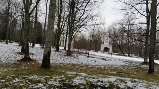 Дворцово-парковый ансамбль 