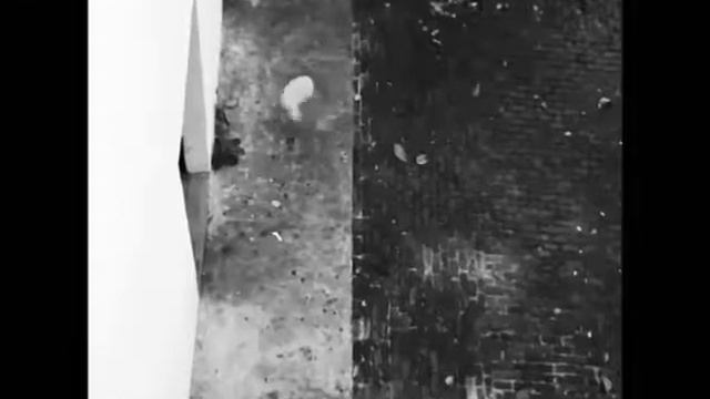 Antonio Durán - Once we felt смотреть онлайн