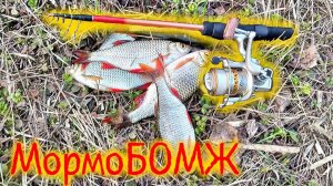 МормоБОМЖ Мормо спиннинг дешевле 1000 рублей