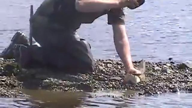 Укротитель Щук слабонервным не смотреть avi смотреть онлайн