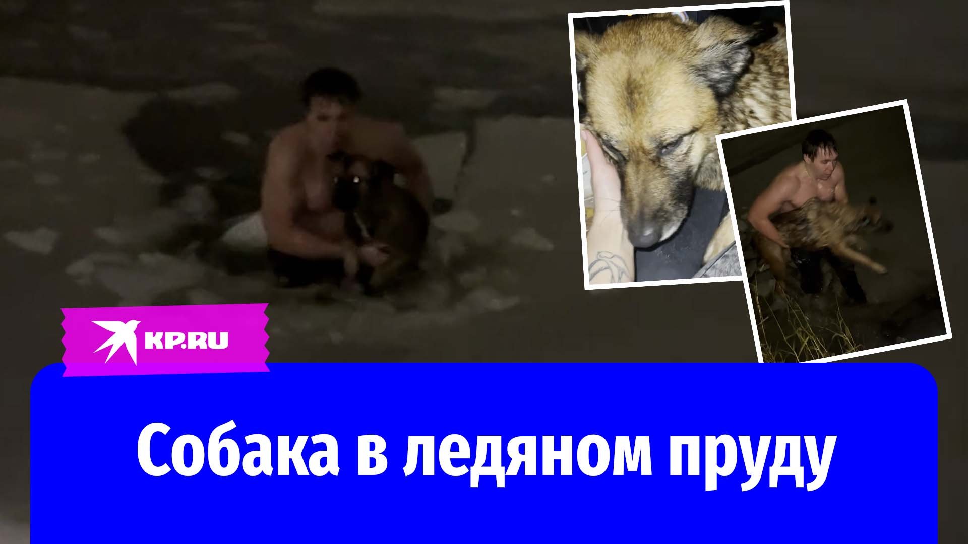 Мужчина спас тонущую собаку. Мужчина спас собаку из ледяной воды. Парень спасает собаку из ледяной воды.