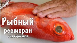 Япония. Рыбный ресторан для гурманов. Киото