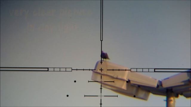 Go Pro Review Torrey Pines Logic Eagle Eye смотреть онлайн