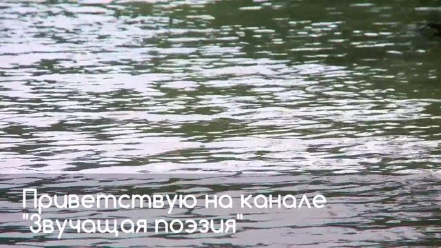 "Звучащая поэзия"