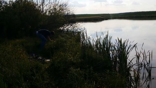 Водоём в селе Приветное Ровенской области