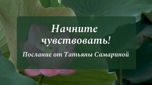 Начните чувствовать! Послание от Татьяны Самариной