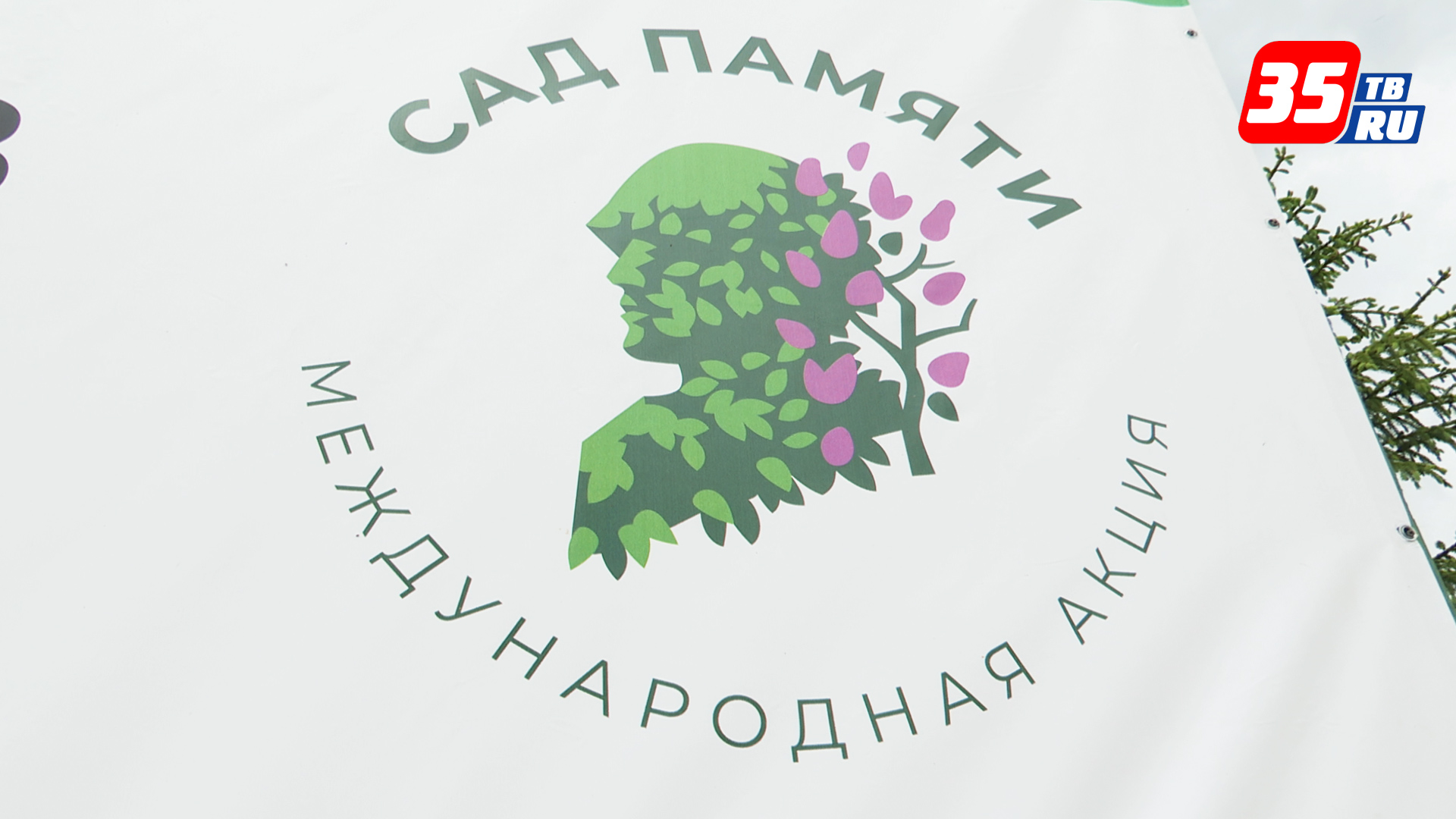 Национальные проекты вологда