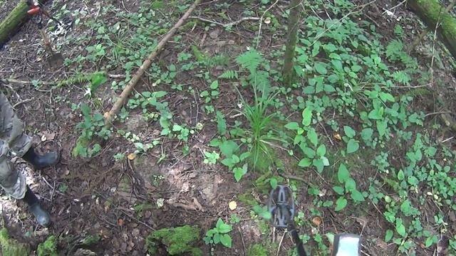 БАТЛ МЕТАЛЛОИСКАТЕЛЕЙ Minelab Equinox Vs Quest X5 КТО КОГО?