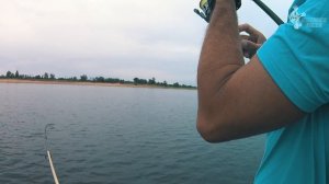 Жёны отпустили нас с пикника на рыбалку на час! И вот что мы поймали...