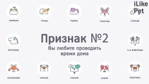 4 признака того, что вы настоящий кошатник