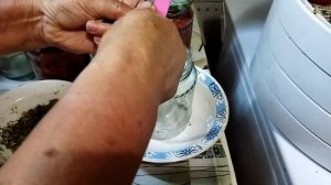 Вяленые томаты домашних условиях. А поможет нам Сушилка Вольтера 1000 Люкс. Очень вкусное блюдо.