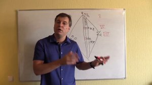 Нейрохирургический цикл. "Черепные нервы, микроанатомия" (8, 9, 10, 11, 12 пары)