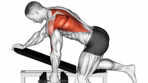 Качаем широкую спину правильно: 5 упражнений для оптимальной проработки мышц спины