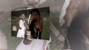 В Толкунова Я деревенская