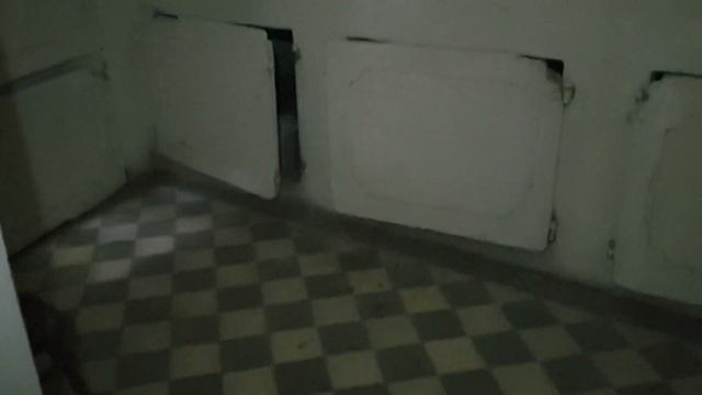 Верховня. Дворец Ганских. Оноре де Бальзак. Самое богатое поместье в Украине до революции 1917г. смотреть онлайн