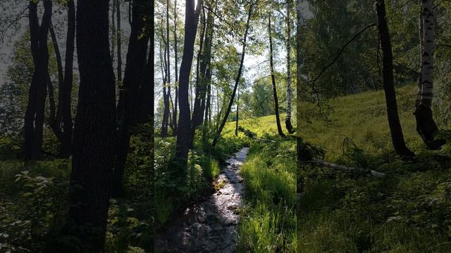 Серебряный родник / село Тугустемир Тюльганского района Оренбургской области #holyspring #святаявода