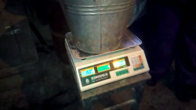 БМВД чим ми годуємо поросят. дерть (дроблёнка) змішуємо в бетономішалці. смотреть онлайн