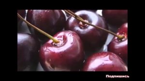 К чему снится ВИШНЯ (ЧЕРЕШНЯ) | СОННИК