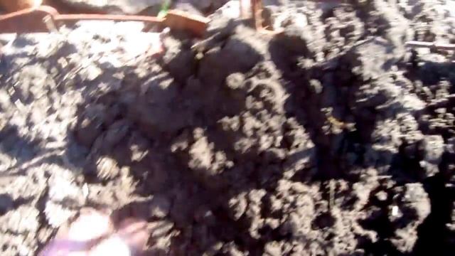 дача48.картофель из глазков,посадка.potatoes from the eyes, landing. смотреть онлайн