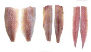 Автоматическая филетировочная линия по сельди CHSHC-1/CHSF-701 (пр-во Ю.Корея)  (ООО "Владфризинг")