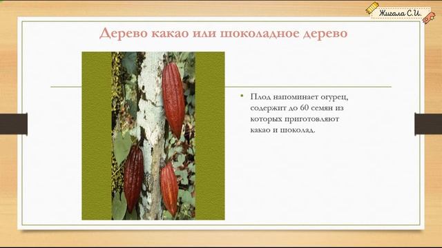 ЗАДАНИЕ №3.2, 3.3.Часть 4.Растения и животные Южной и Северной Америки. ВПР окружающий мир, 4 клас