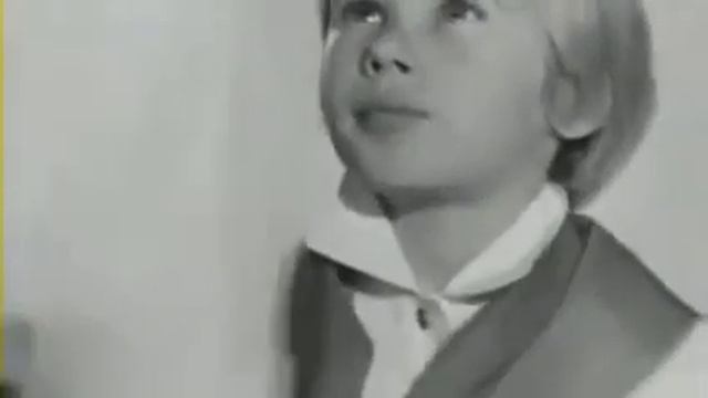 шаинский бит