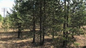 Съездили в Старый Сольвычегодск