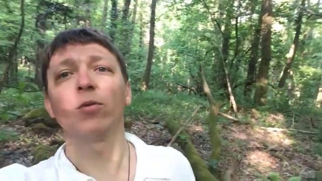 Потерялись в Сочинском Национальном Парке.. смотреть онлайн