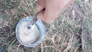 Правильная манка для ловли карася