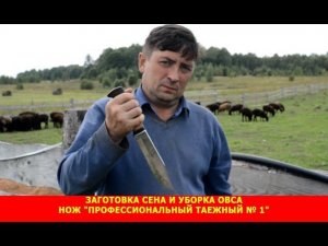 Заготовка сена и уборка овса. Нож "Профессиональный таежный № 1"