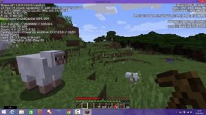 Minecraft Test Pentium B980 intel HD