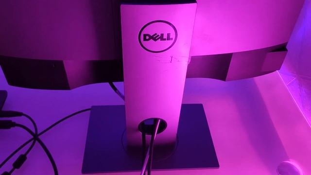 مراجعة شاشة DELL U2419h جودة الوان خرافية وسعر لا يصدق ! смотреть онлайн