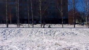 Мотобуксировщик Толкач лыжника Альбатрос