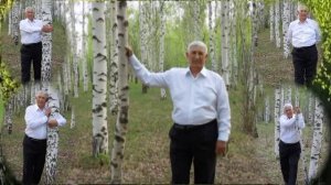 Не жалею, не зову, не плачу...