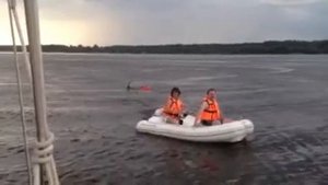 Не шмогла...