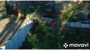 03.09.21 краснодарский край.Ст. Переясловская