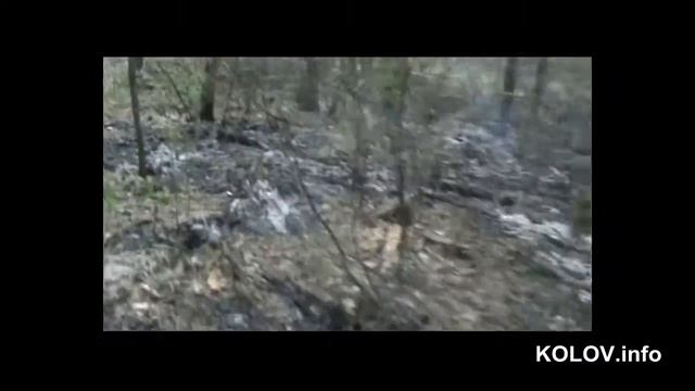 21 мая 2011 - горит участок леса в тольятти смотреть онлайн