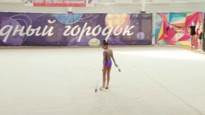 033 Домниди Алина