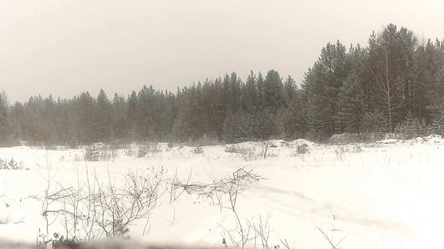 Тайга Патруль 550 SWT смотреть онлайн