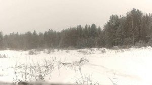 Тайга Патруль  550 SWT