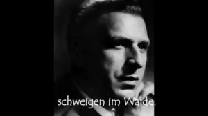 Hans Hotter Wanderers Nachtlied Goethe/Schubert with Lyrics